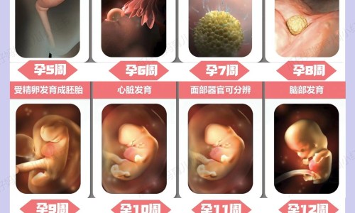 热的难受也不出汗网 :分享很热但是不出汗怎么办-热的难受也不出汗怎么办知识